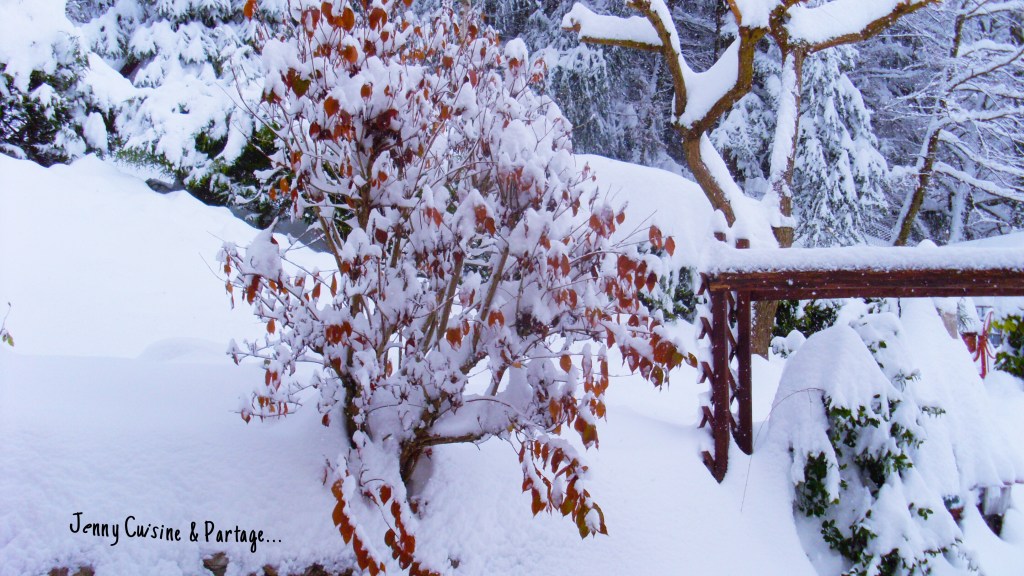 TrĂšs bonnes fĂȘtes de fin dâannĂ©e !